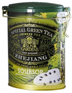 Soursop Soursop